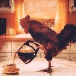 Meet your Posher, Sean